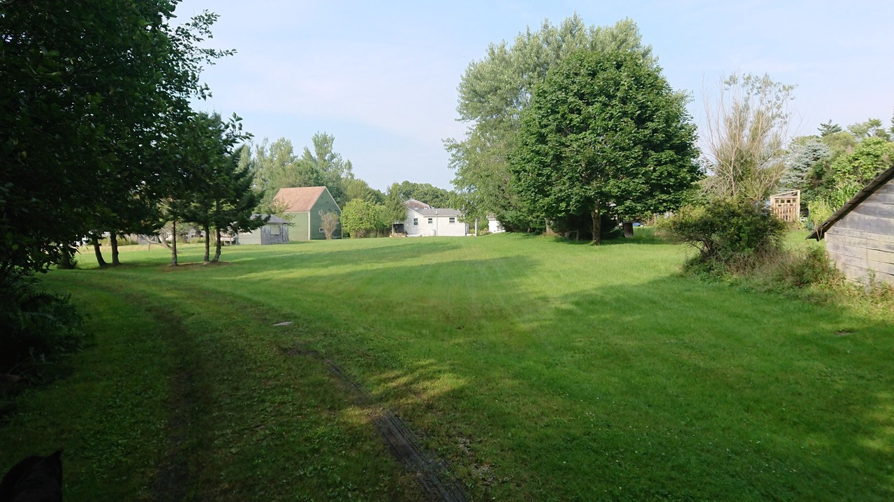Photo of Outdoor in Seawall