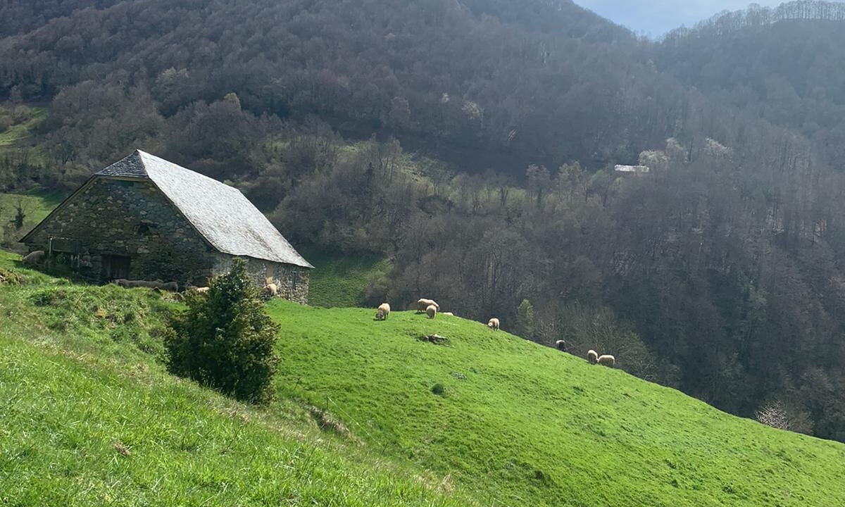 Photo of Others in Louvie-Soubiron