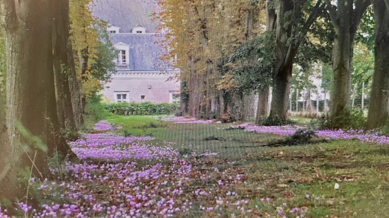 Photo of Outdoor in Beaupreau