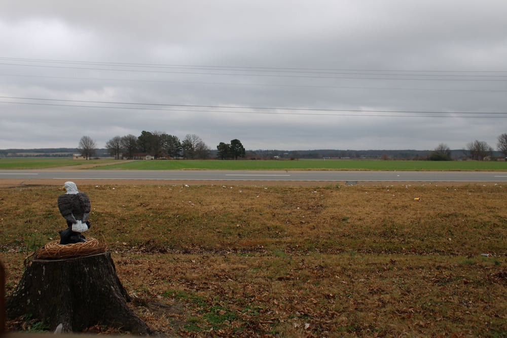 Photo of Others in Wynne