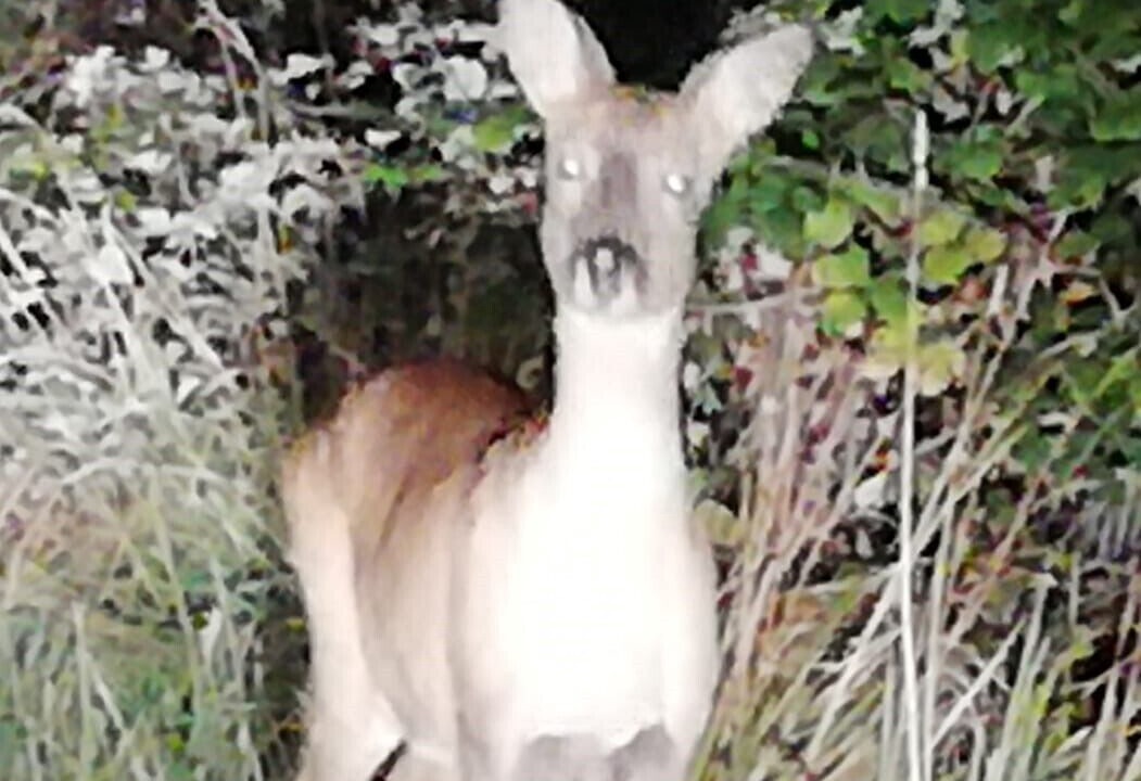Photo of Outdoor in Luceram
