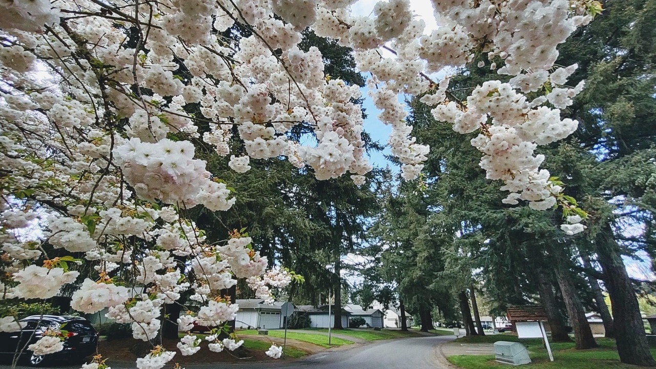 Photo of Outdoor in Vancouver