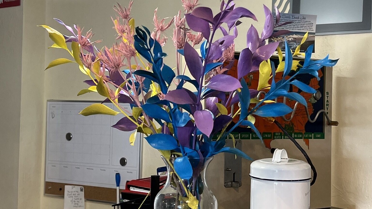 Photo of Outdoor in Dock Junction