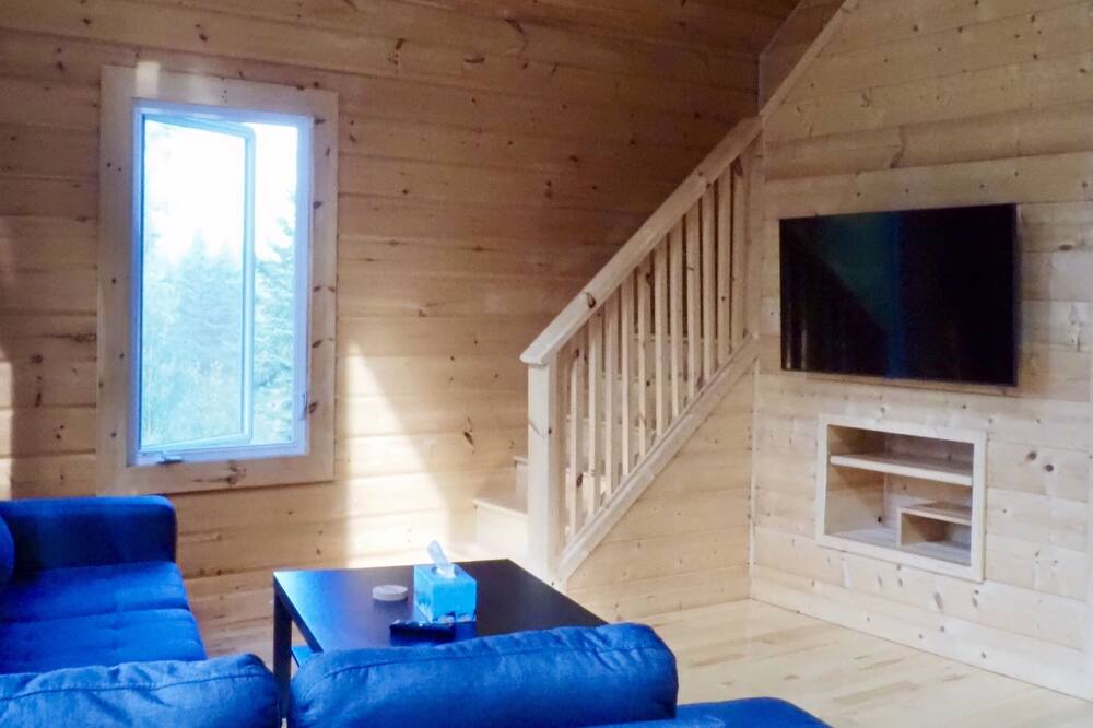 Photo of Livingroom in Saint Come