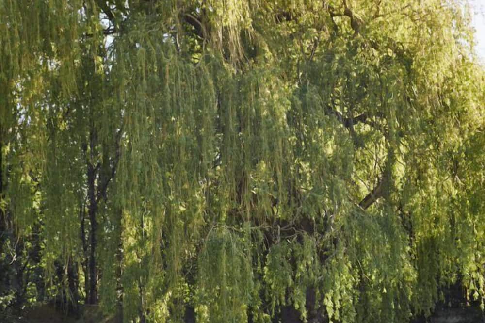 Photo of Outdoor in Waltham Cross