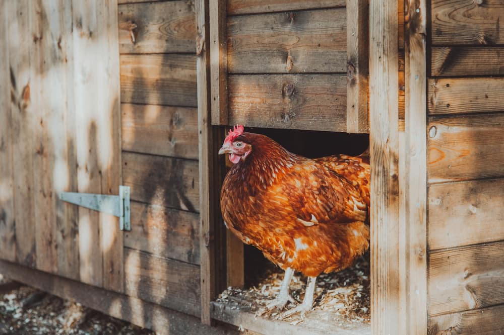 Photo of Outdoor in Waltham Cross