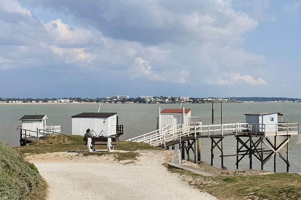 Photo of Others in Medis