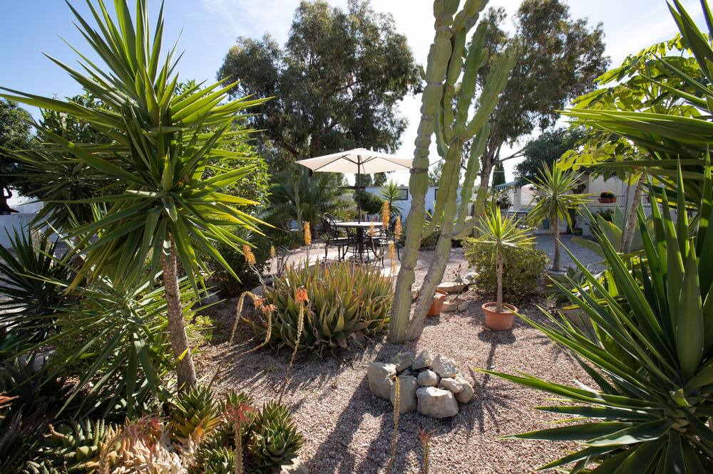Photo of Outdoor in Mutxamel