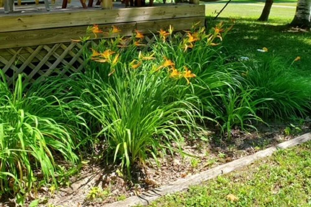 Photo of Outdoor in Gladwin