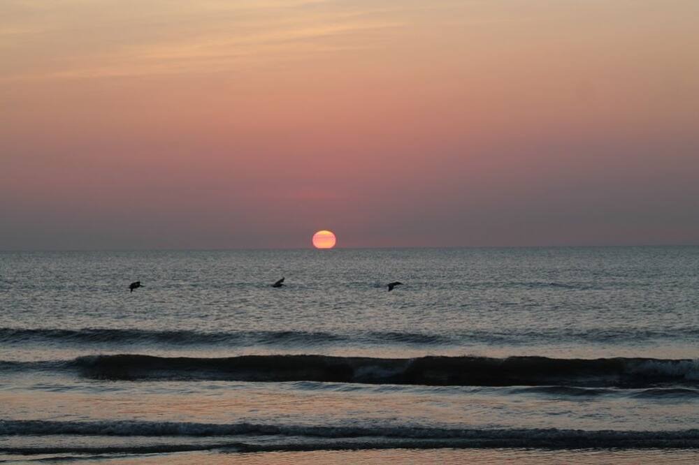 Photo of Others in Ormond-by-the-Sea