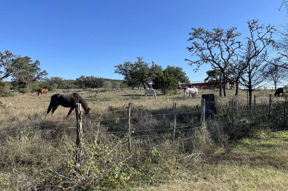 Photo of Outdoor in Bandera