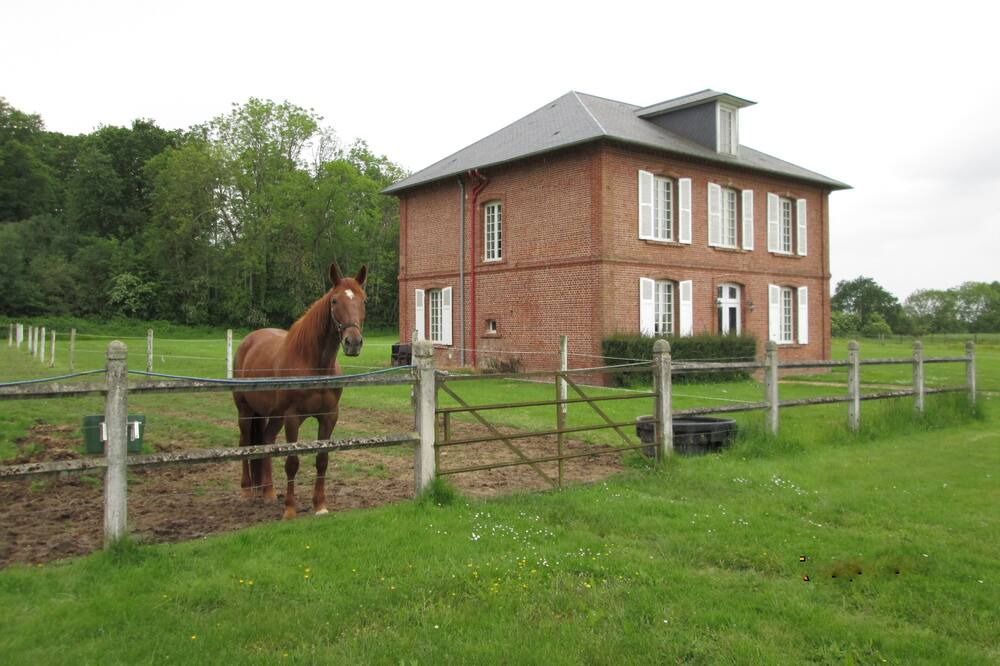 Photo of Outdoor in La Goulafriere