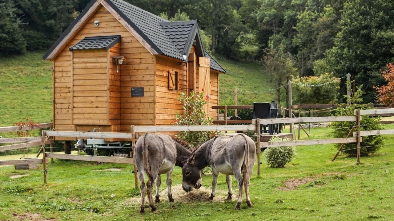 Photo of Outdoor in Segus