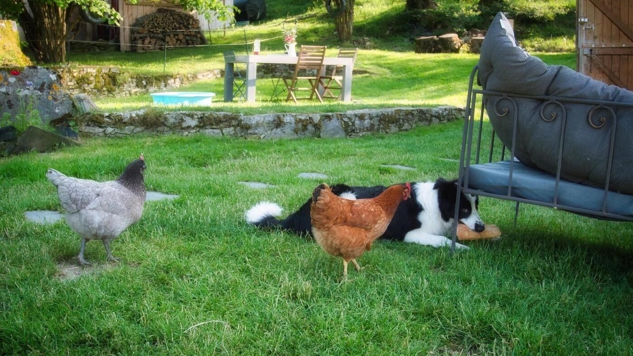 Photo of Outdoor in Segus