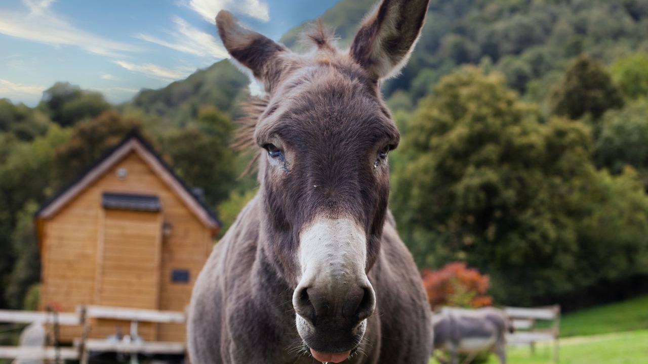 Photo of Outdoor in Segus