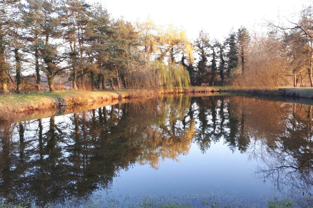 Photo of Outdoor in Aubigne-Racan