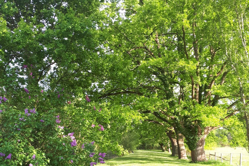 Photo of Outdoor in Aubigne-Racan