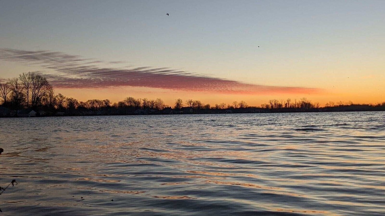 Photo of Others in Lakeview