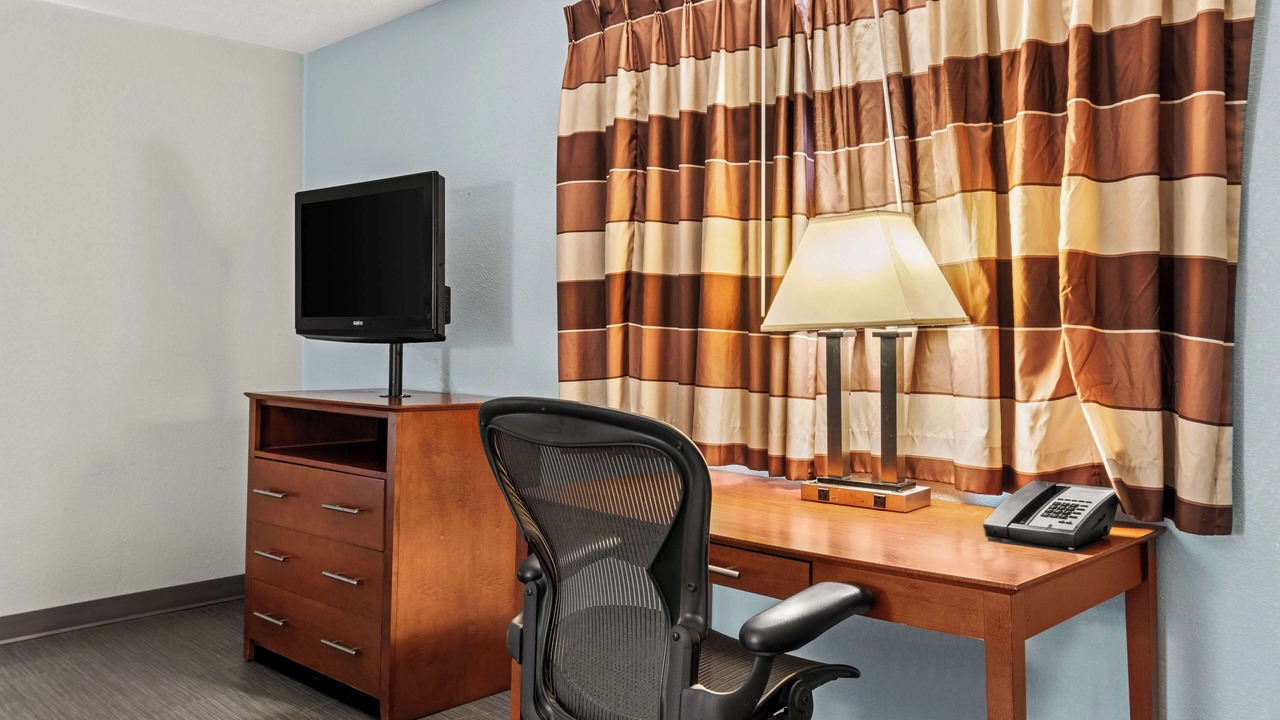 Photo of Others in Carlisle