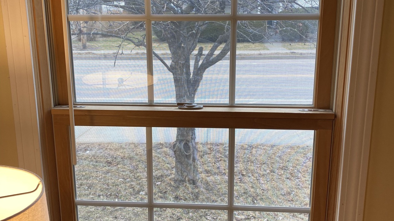 Photo of Others in Essex Junction