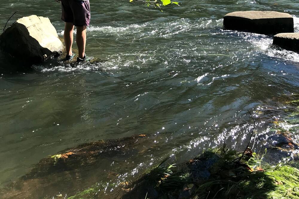 Photo of Others in Covington