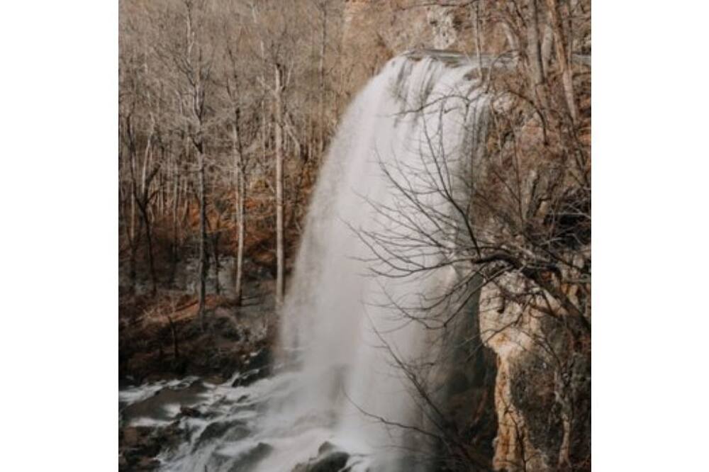 Photo of Others in Covington