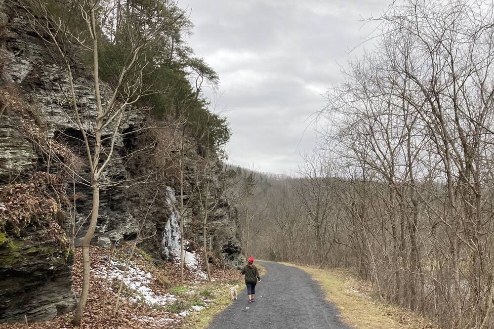 Photo of Outdoor in Covington