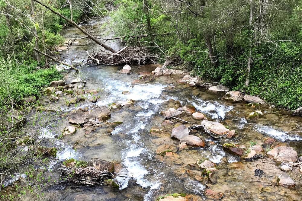 Photo of Outdoor in Covington