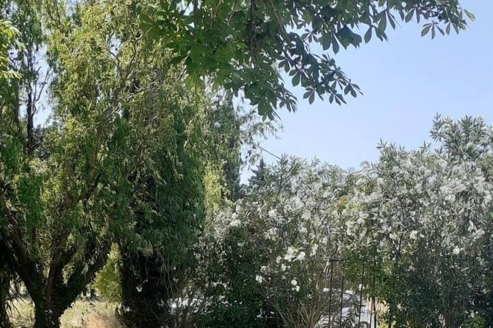 Photo of Outdoor in Barbentane