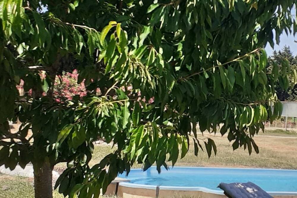 Photo of Others in Barbentane