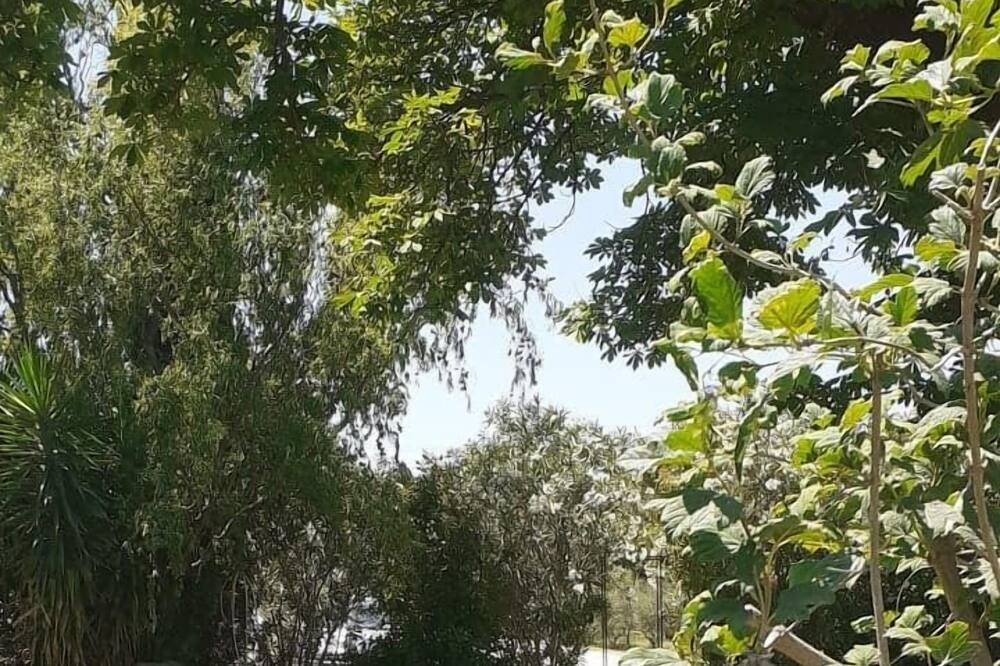 Photo of Outdoor in Barbentane