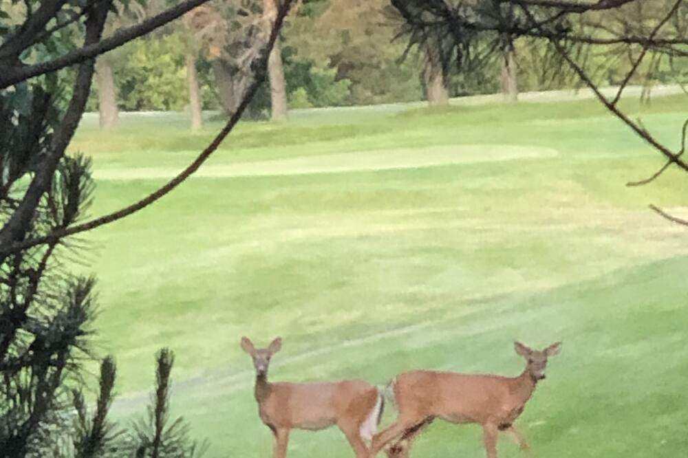 Photo of Others in Tupper Lake