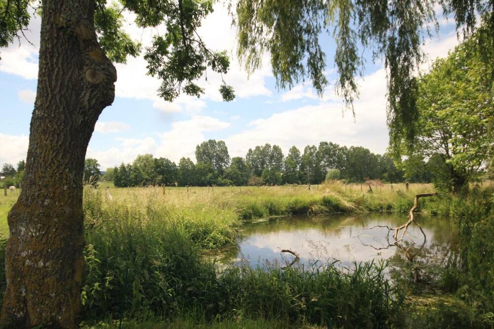 Photo of Outdoor in Mesnieres-en-Bray