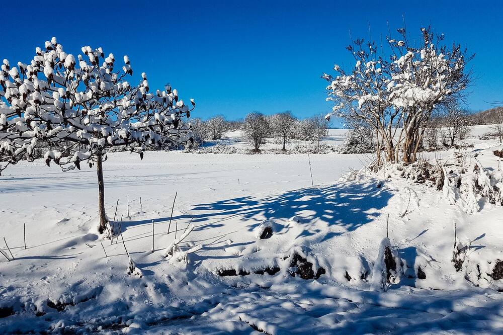Photo of Outdoor in Innimond