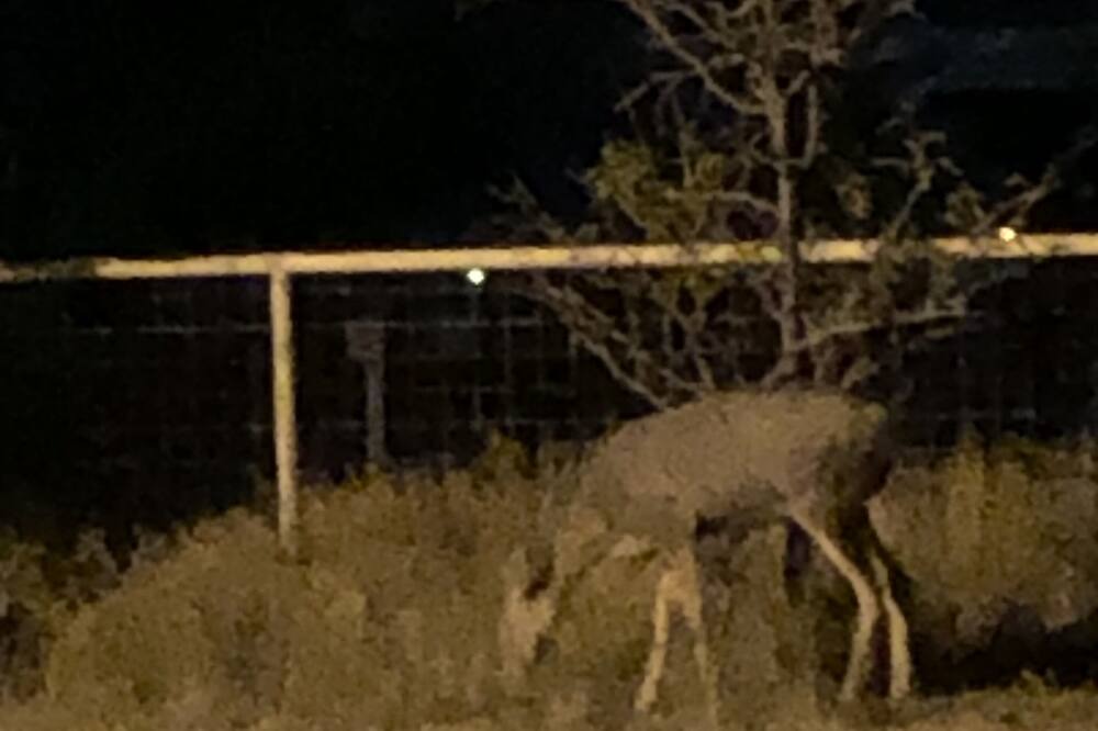 Photo of Outdoor in Carlsbad