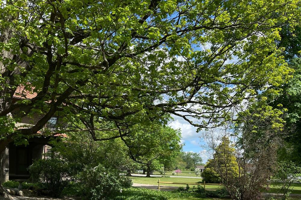 Photo of Outdoor in Hollowville