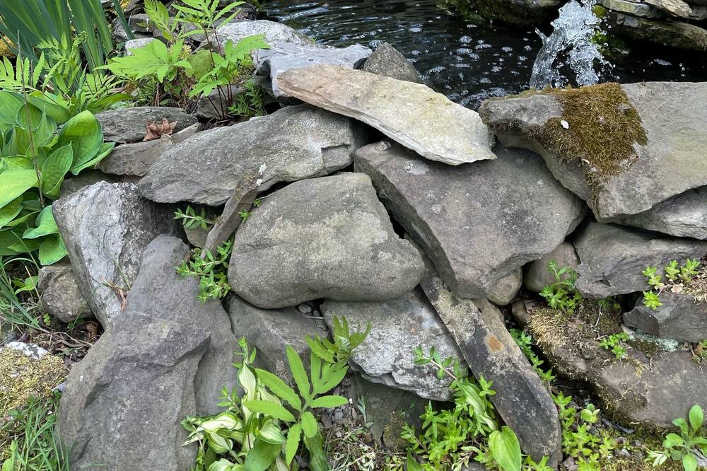Photo of Outdoor in Hollowville