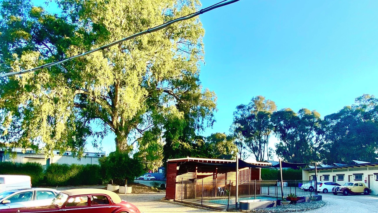 Photo of Outdoor in Seymour