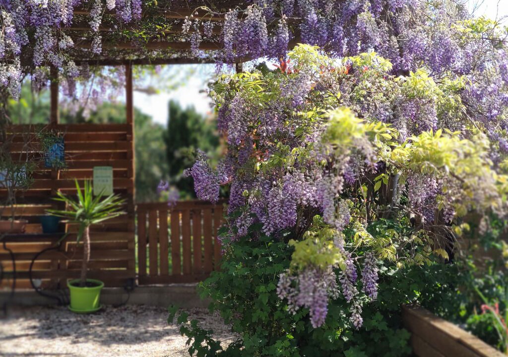 Photo of Outdoor in Peret