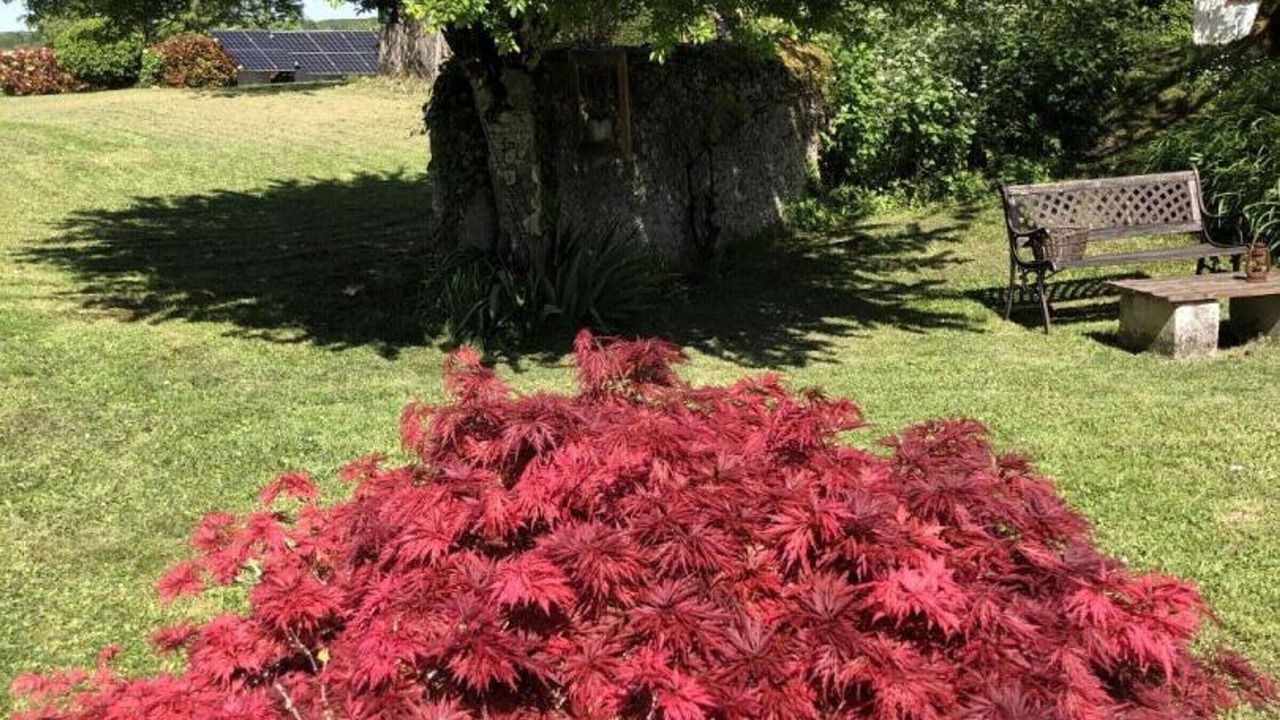 Photo of Outdoor in Chassaignes