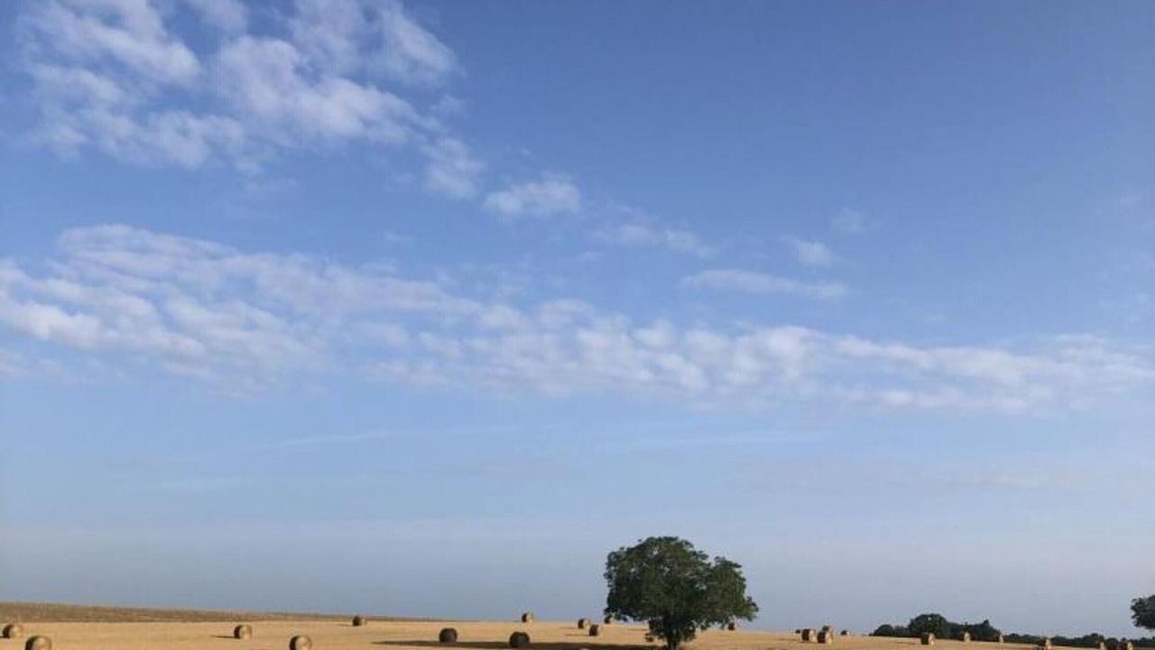 Photo of Others in Chassaignes