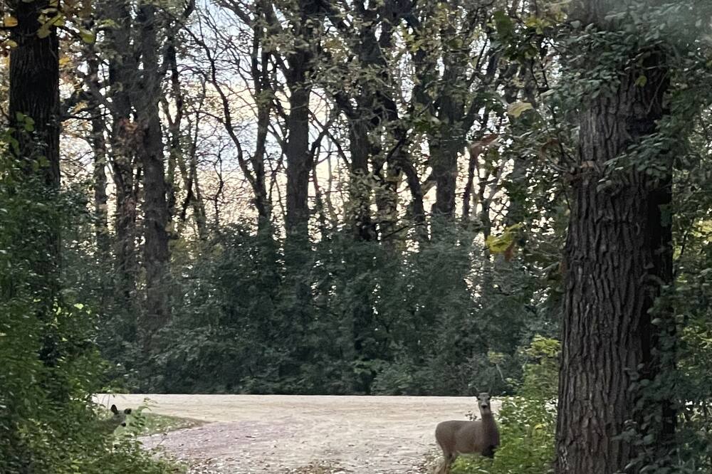 Photo of Others in Windom