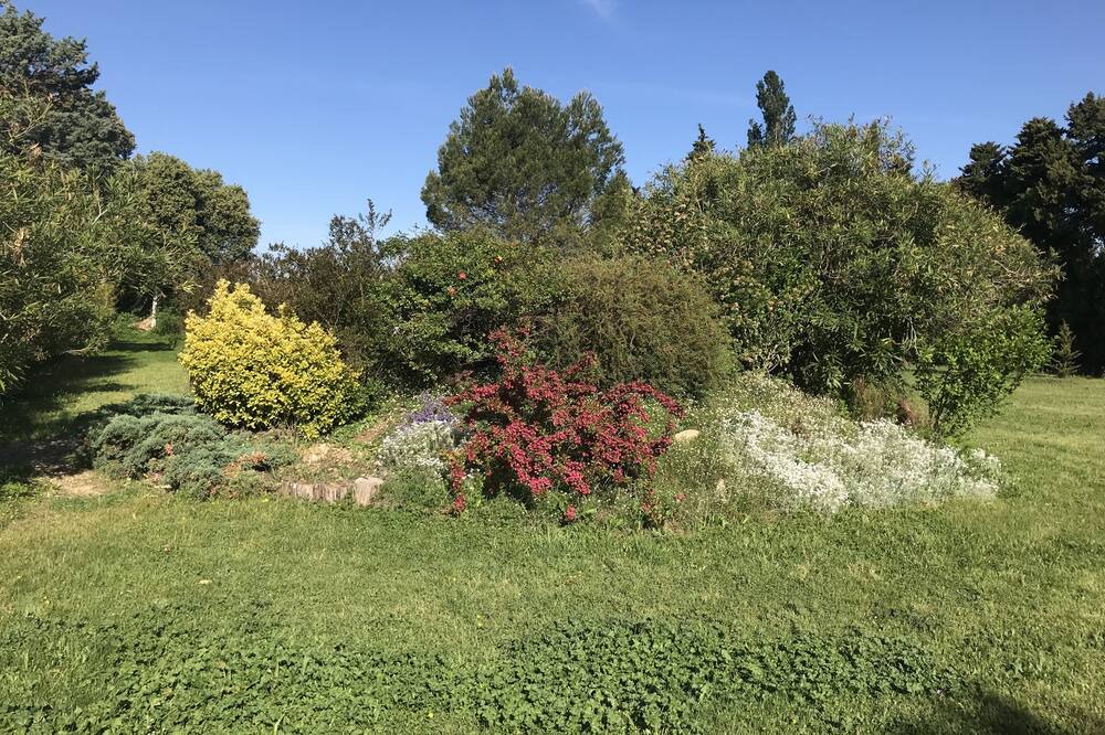 Photo of Outdoor in Loriol-du-Comtat