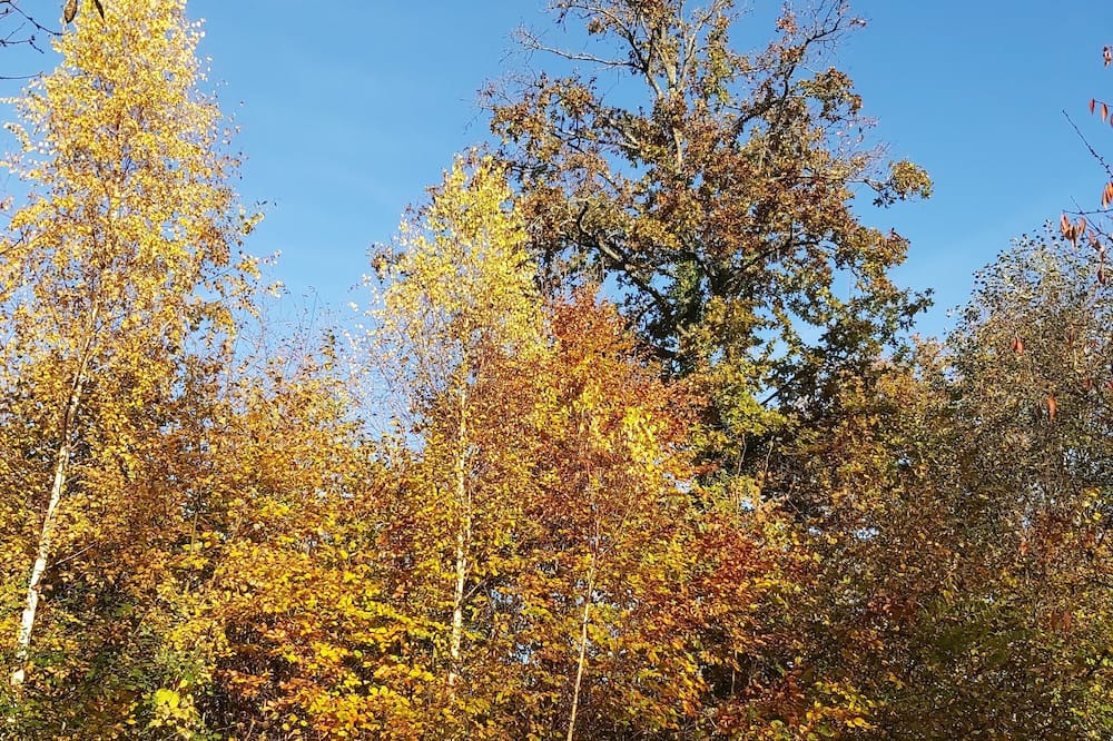 Photo of Outdoor in Saint-Jean-aux-Bois