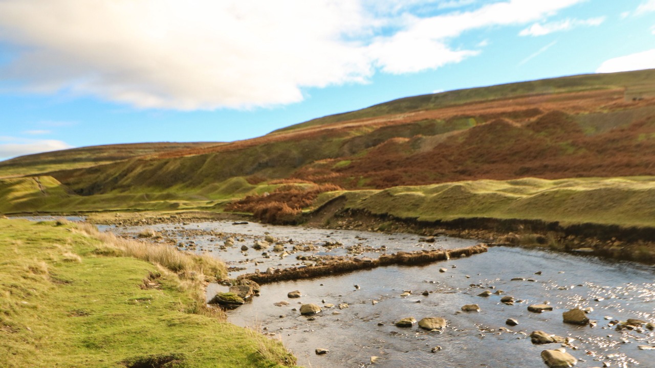Photo of Others in Frosterley