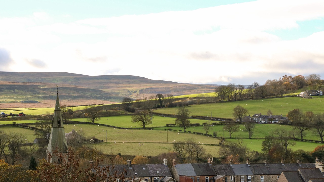 Photo of Others in Frosterley