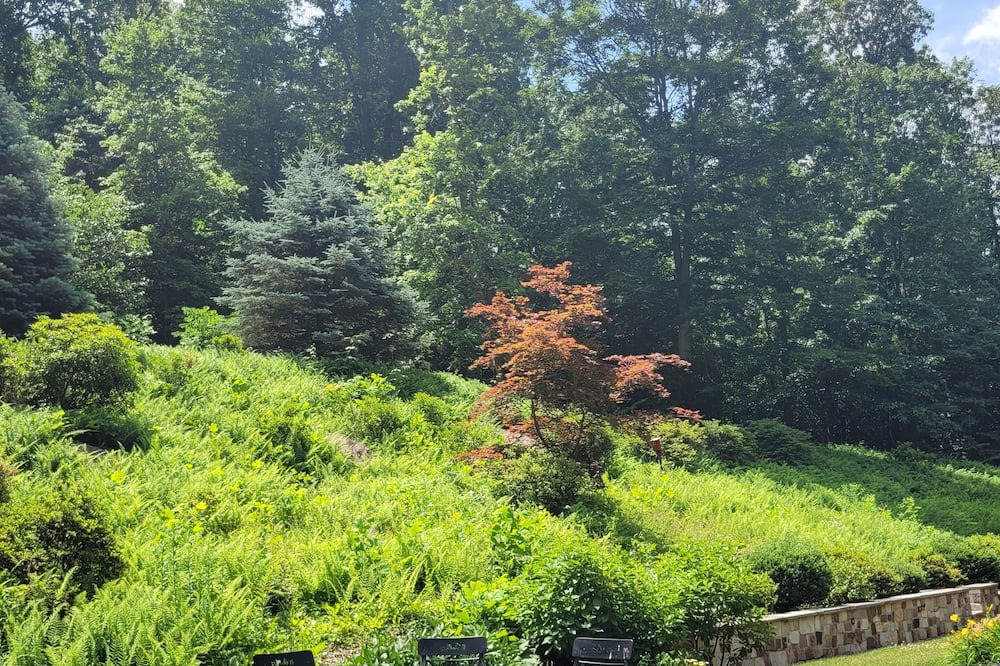 Photo of Outdoor in Birdsboro