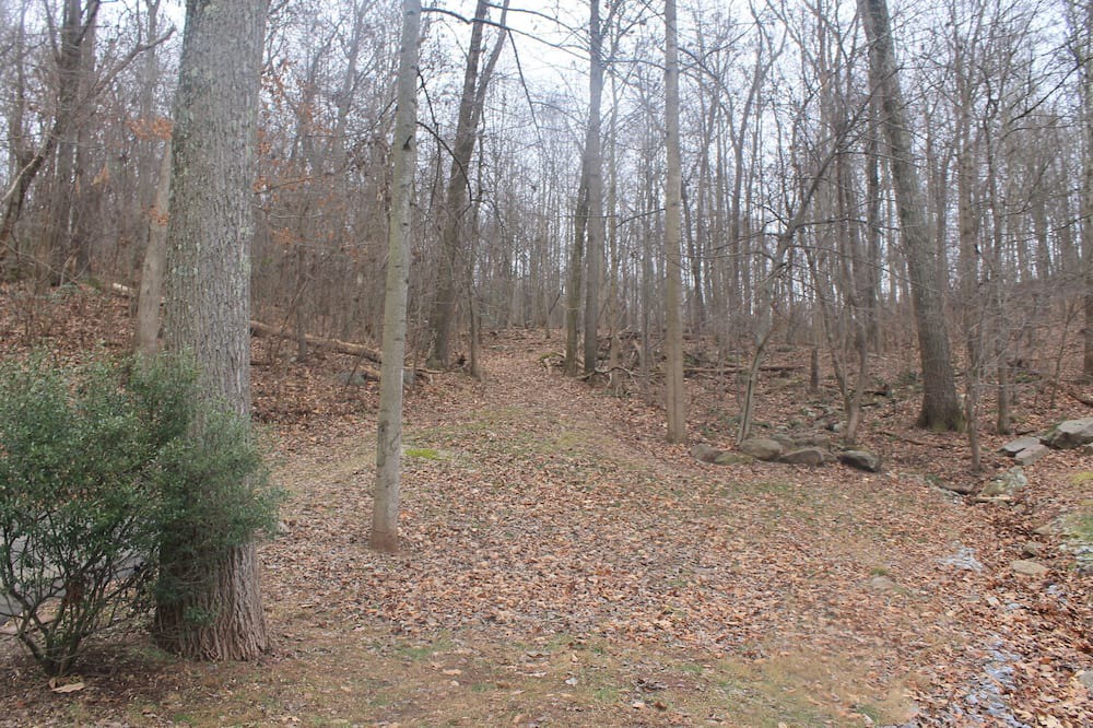 Photo of Outdoor in Birdsboro