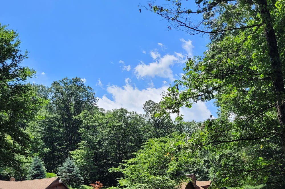 Photo of Others in Birdsboro