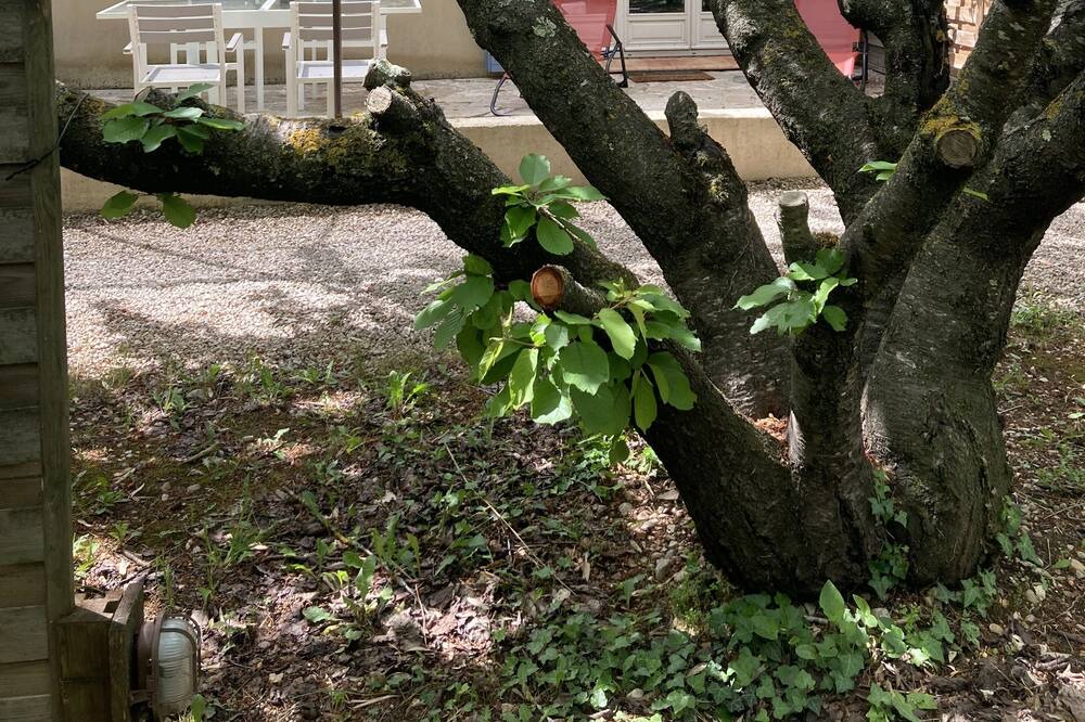 Photo of Outdoor in Loriol-du-Comtat